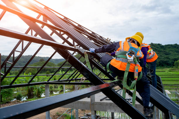 Best Roof Inspection Near Me  in Roseville, MN