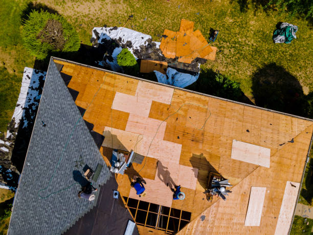 Best Roof Repair Services  in Roseville, MN