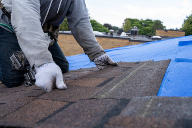 Best New Roof Installation  in Roseville, MN