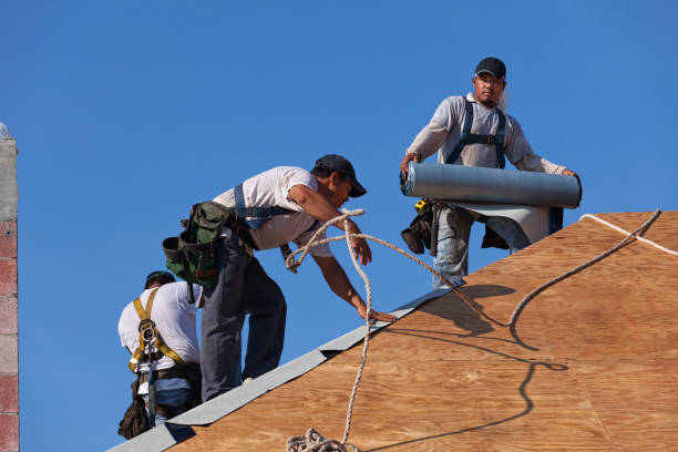 Best Commercial Roofing Services  in Roseville, MN