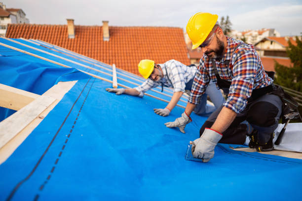 Best Gutter Installation and Roofing  in Roseville, MN